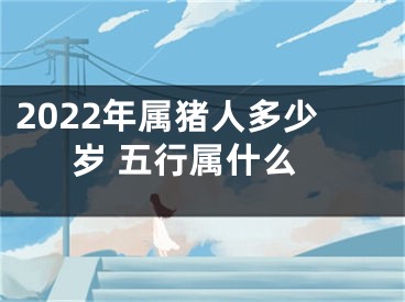 2022年属猪人多少岁 五行属什么