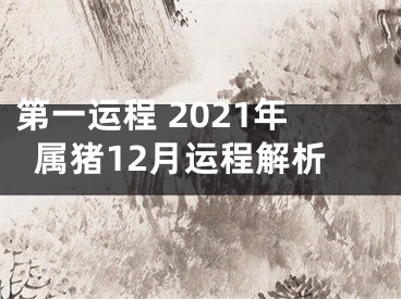 第一运程 2021年属猪12月运程解析