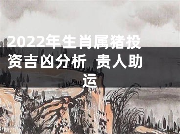2022年生肖属猪投资吉凶分析  贵人助运