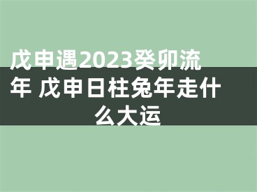 戊申遇2023癸卯流年 戊申日柱兔年走什么大运