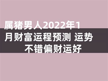 属猪男人2022年1月财富运程预测 运势不错偏财运好