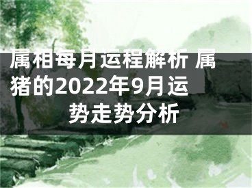 属相每月运程解析 属猪的2022年9月运势走势分析