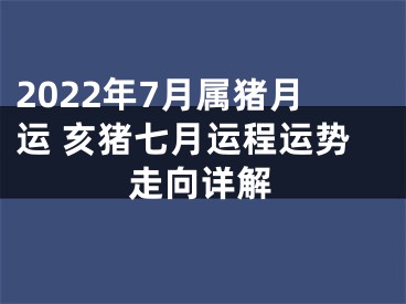 2022年7月属猪月运 亥猪七月运程运势走向详解