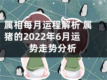 属相每月运程解析 属猪的2022年6月运势走势分析