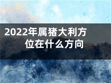2022年属猪大利方位在什么方向