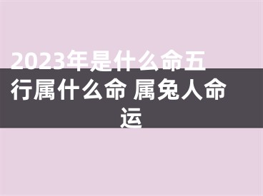 2023年是什么命五行属什么命 属兔人命运