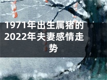 1971年出生属猪的2022年夫妻感情走势