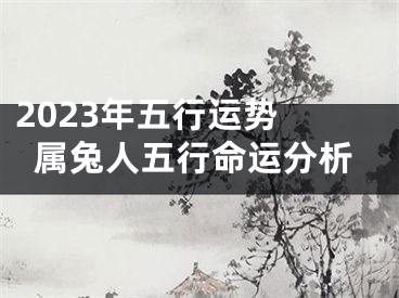 2023年五行运势 属兔人五行命运分析