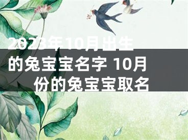 2023年10月出生的兔宝宝名字 10月份的兔宝宝取名