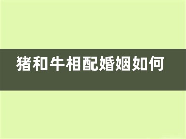 猪和牛相配婚姻如何
