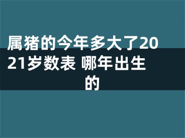 属猪的今年多大了2021岁数表 哪年出生的