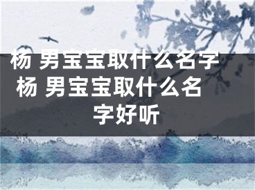 杨 男宝宝取什么名字 杨 男宝宝取什么名字好听