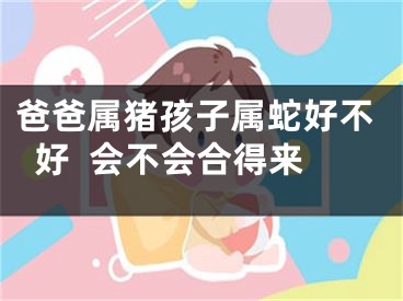 爸爸属猪孩子属蛇好不好  会不会合得来