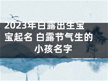 2023年白露出生宝宝起名 白露节气生的小孩名字
