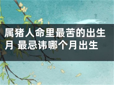 属猪人命里最苦的出生月 最忌讳哪个月出生