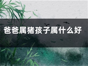 爸爸属猪孩子属什么好