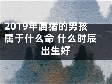2019年属猪的男孩属于什么命 什么时辰出生好
