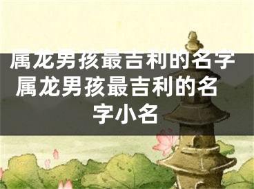 属龙男孩最吉利的名字 属龙男孩最吉利的名字小名