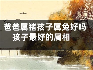 爸爸属猪孩子属兔好吗  孩子最好的属相