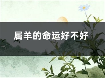 属羊的命运好不好