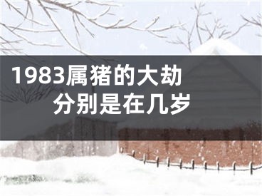 1983属猪的大劫  分别是在几岁
