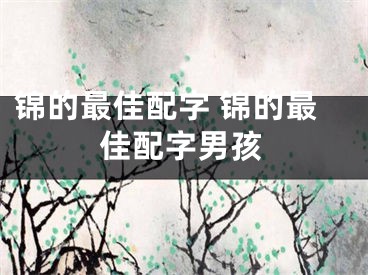 锦的最佳配字 锦的最佳配字男孩