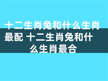 十二生肖兔和什么生肖最配 十二生肖兔和什么生肖最合