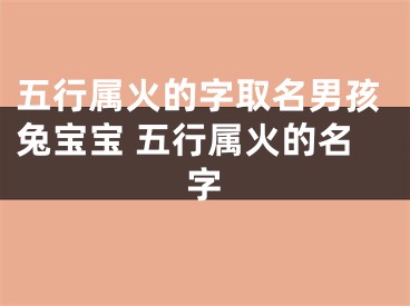 五行属火的字取名男孩兔宝宝 五行属火的名字