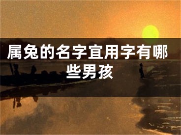属兔的名字宜用字有哪些男孩