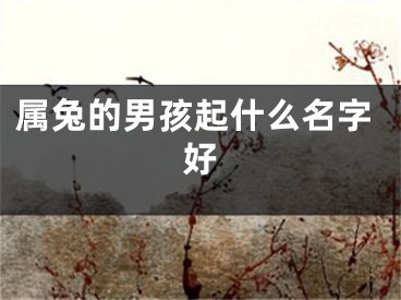 属兔的男孩起什么名字好