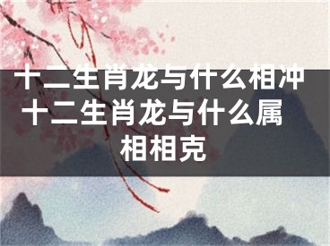十二生肖龙与什么相冲 十二生肖龙与什么属相相克