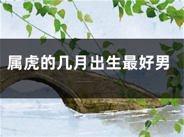 属虎的几月出生最好男