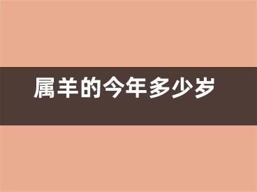 属羊的今年多少岁
