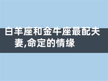 白羊座和金牛座最配夫妻,命定的情缘 