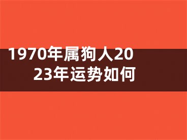 1970年属狗人2023年运势如何