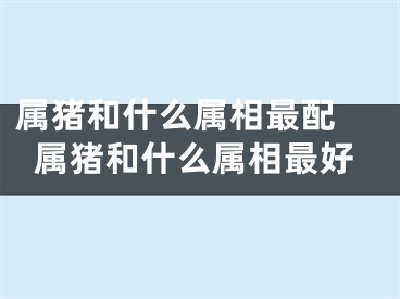 属猪和什么属相最配 属猪和什么属相最好