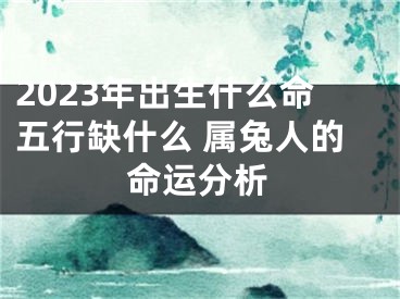 2023年出生什么命五行缺什么 属兔人的命运分析