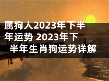 属狗人2023年下半年运势 2023年下半年生肖狗运势详解