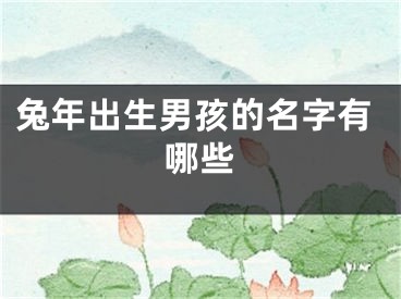 兔年出生男孩的名字有哪些
