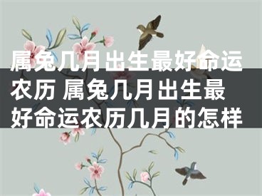 属兔几月出生最好命运农历 属兔几月出生最好命运农历几月的怎样
