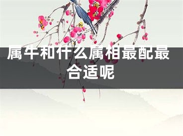 属牛和什么属相最配最合适呢