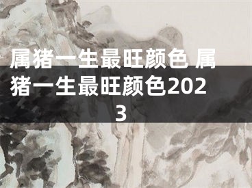 属猪一生最旺颜色 属猪一生最旺颜色2023