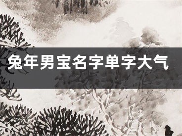 兔年男宝名字单字大气