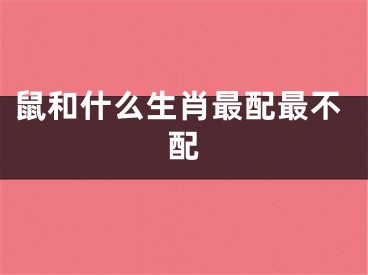 鼠和什么生肖最配最不配