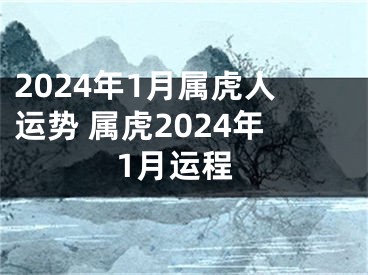 2024年1月属虎人运势 属虎2024年1月运程