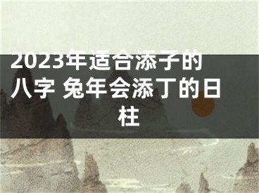 2023年适合添子的八字 兔年会添丁的日柱