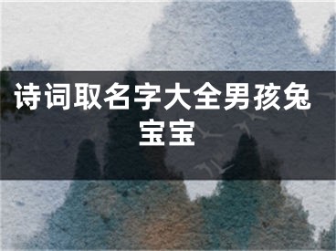 诗词取名字大全男孩兔宝宝