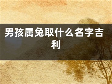 男孩属兔取什么名字吉利
