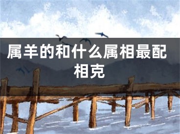 属羊的和什么属相最配相克
