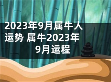 2023年9月属牛人运势 属牛2023年9月运程
